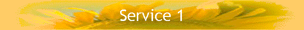 Service 1