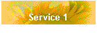 Service 1