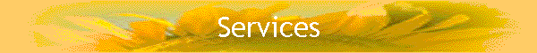 Services